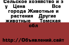 Сельское хозяйство и з/у › Цена ­ 2 500 000 - Все города Животные и растения » Другие животные   . Томская обл.